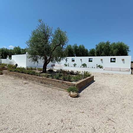 Tenuta Viale Degli Ulivi San Martino in Pensilis Kültér fotó