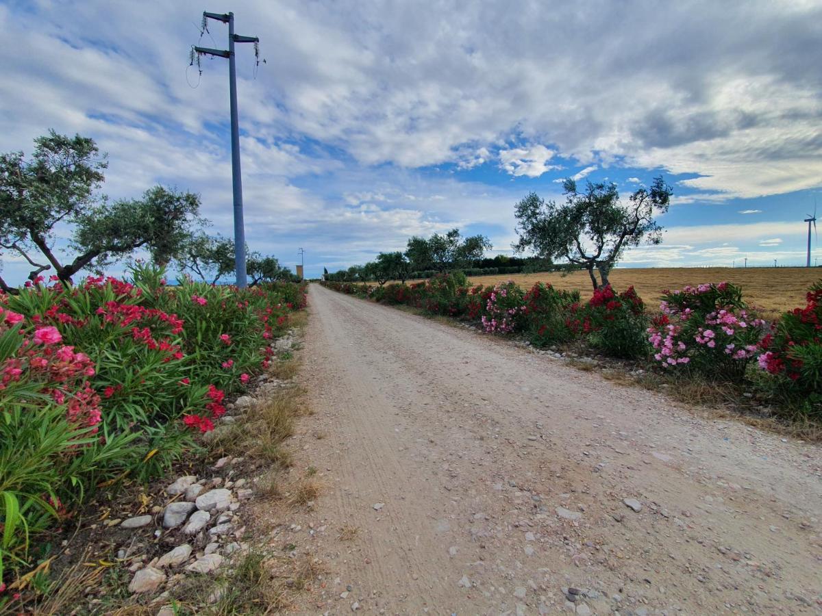 Tenuta Viale Degli Ulivi San Martino in Pensilis Kültér fotó