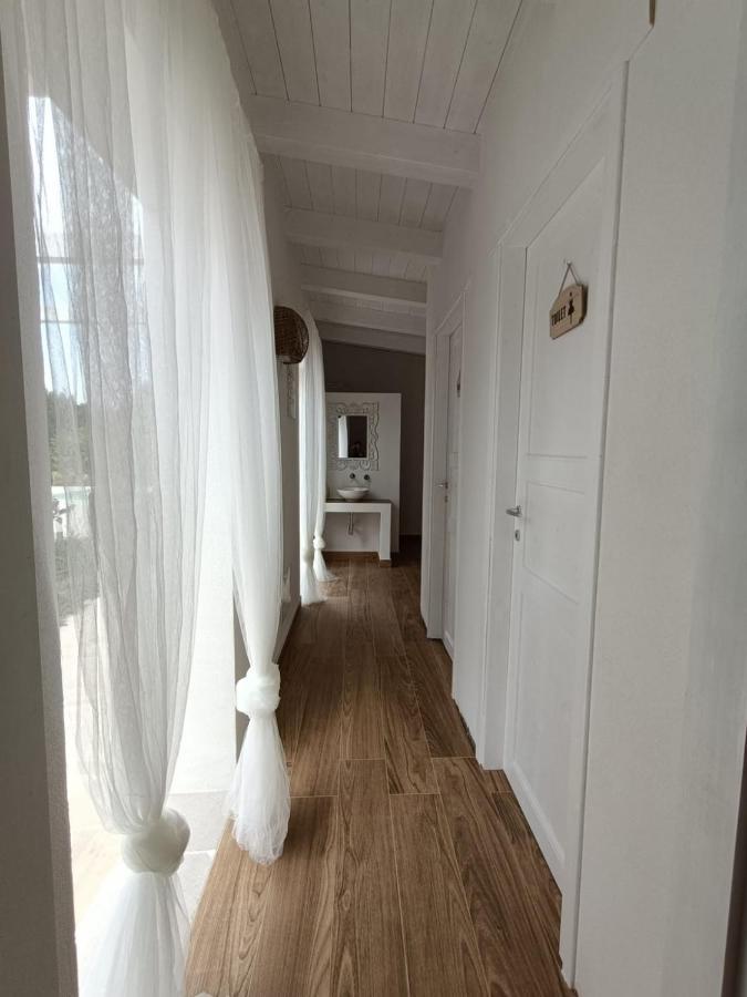 Tenuta Viale Degli Ulivi San Martino in Pensilis Kültér fotó