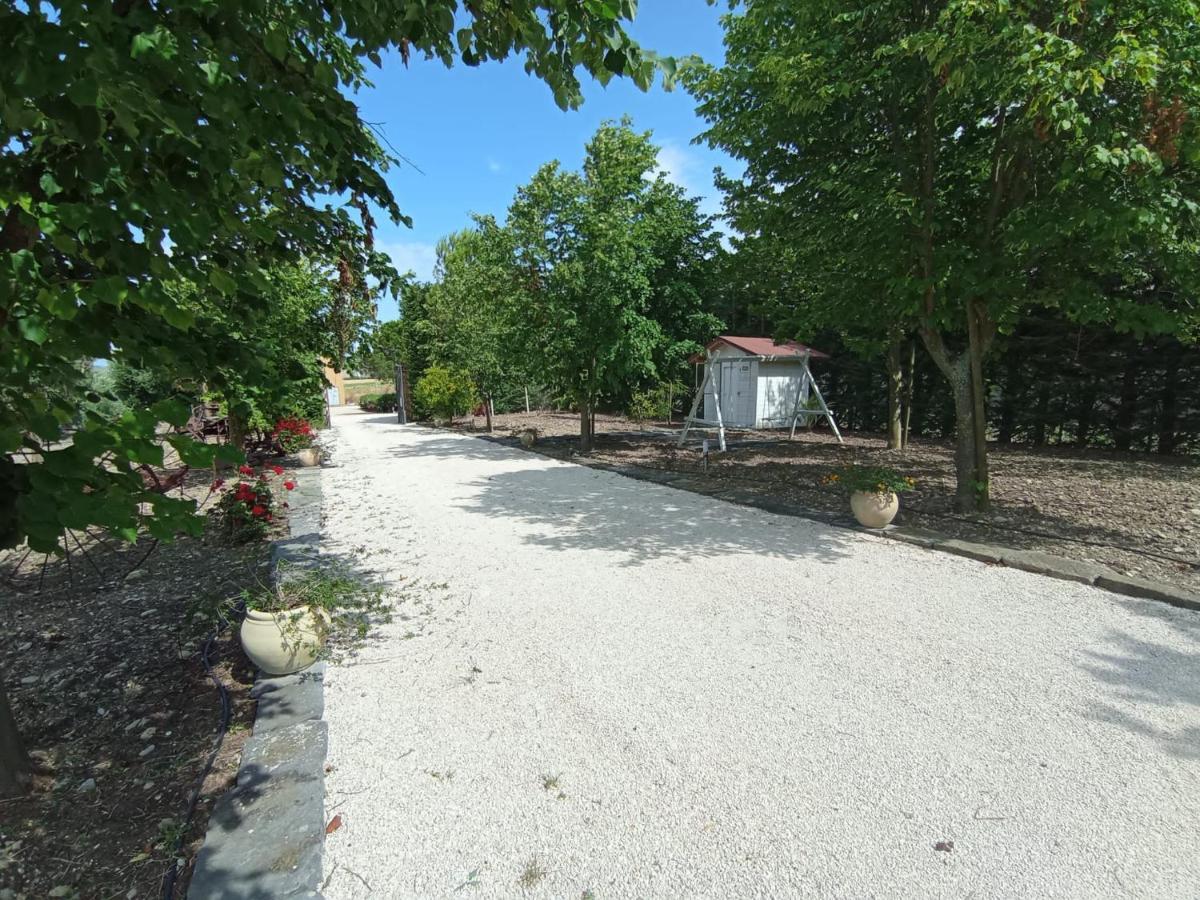 Tenuta Viale Degli Ulivi San Martino in Pensilis Kültér fotó
