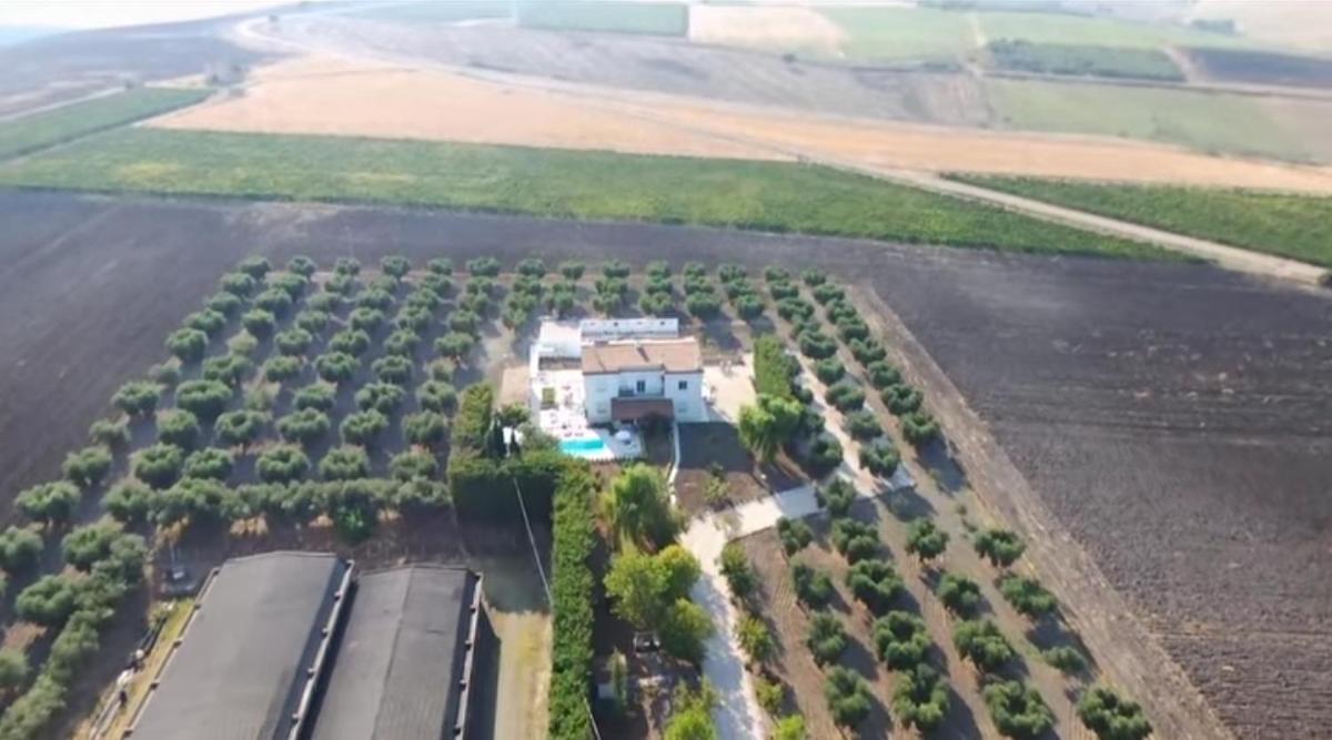 Tenuta Viale Degli Ulivi San Martino in Pensilis Kültér fotó