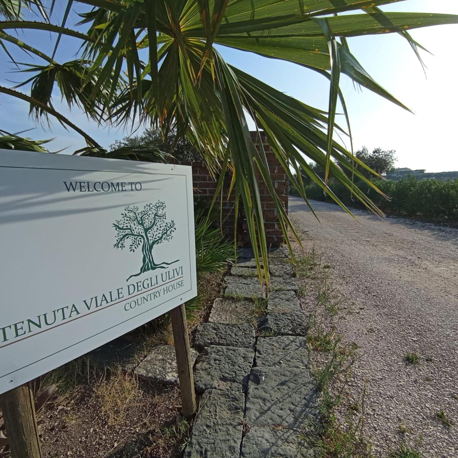 Tenuta Viale Degli Ulivi San Martino in Pensilis Kültér fotó
