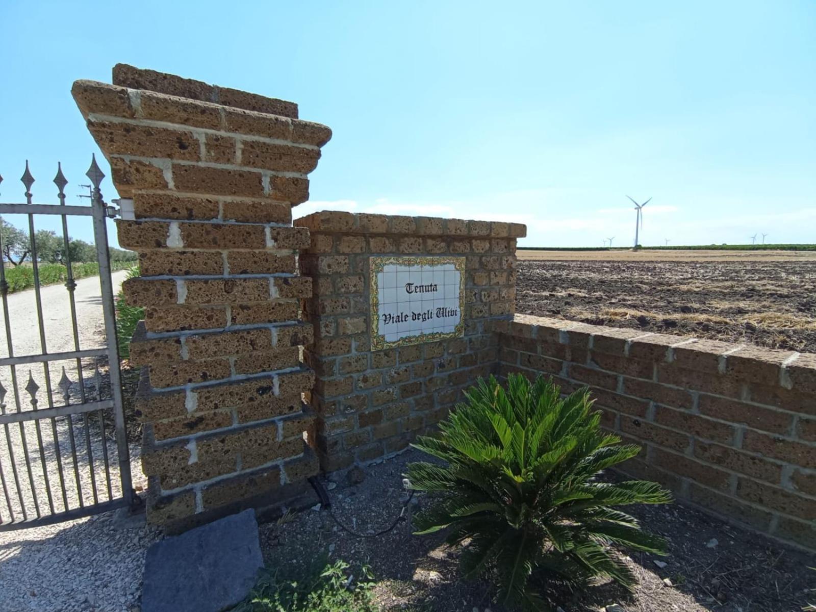 Tenuta Viale Degli Ulivi San Martino in Pensilis Kültér fotó