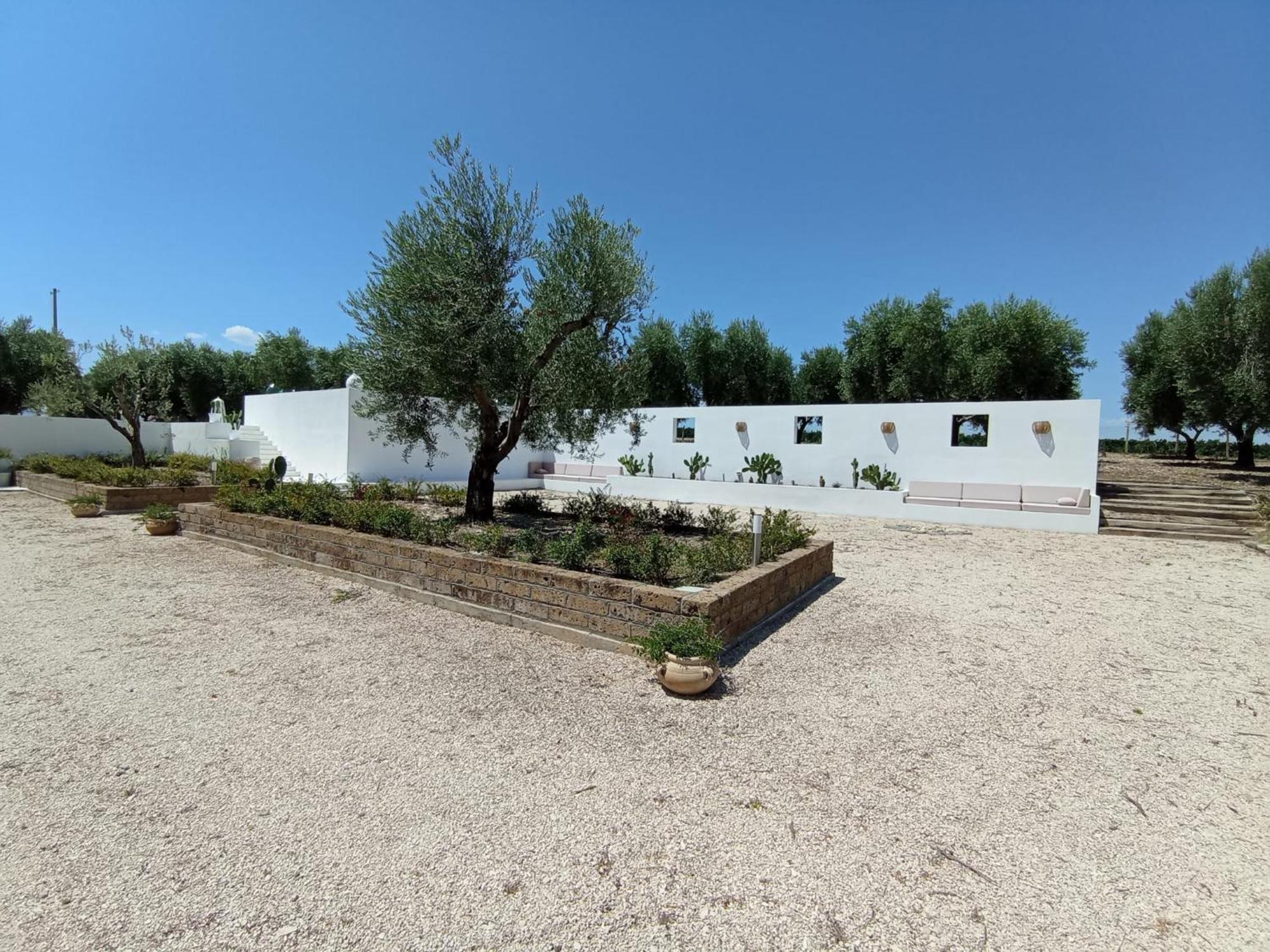 Tenuta Viale Degli Ulivi San Martino in Pensilis Kültér fotó