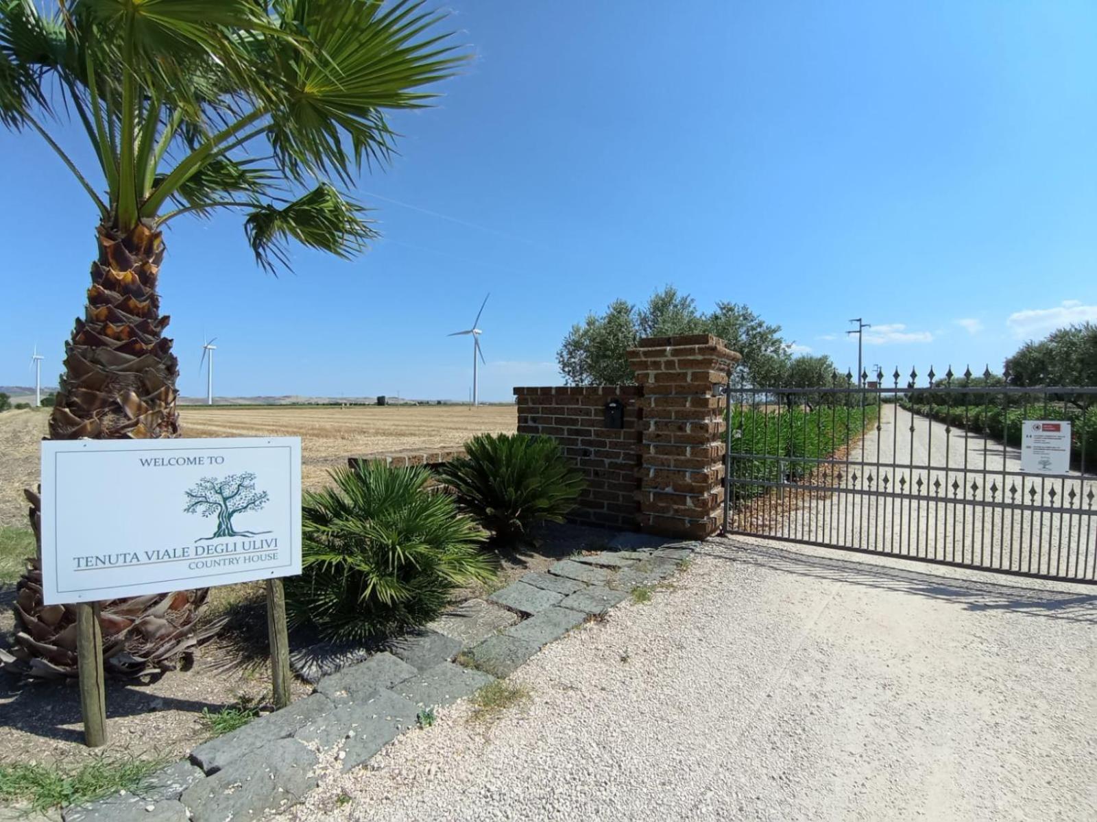 Tenuta Viale Degli Ulivi San Martino in Pensilis Kültér fotó