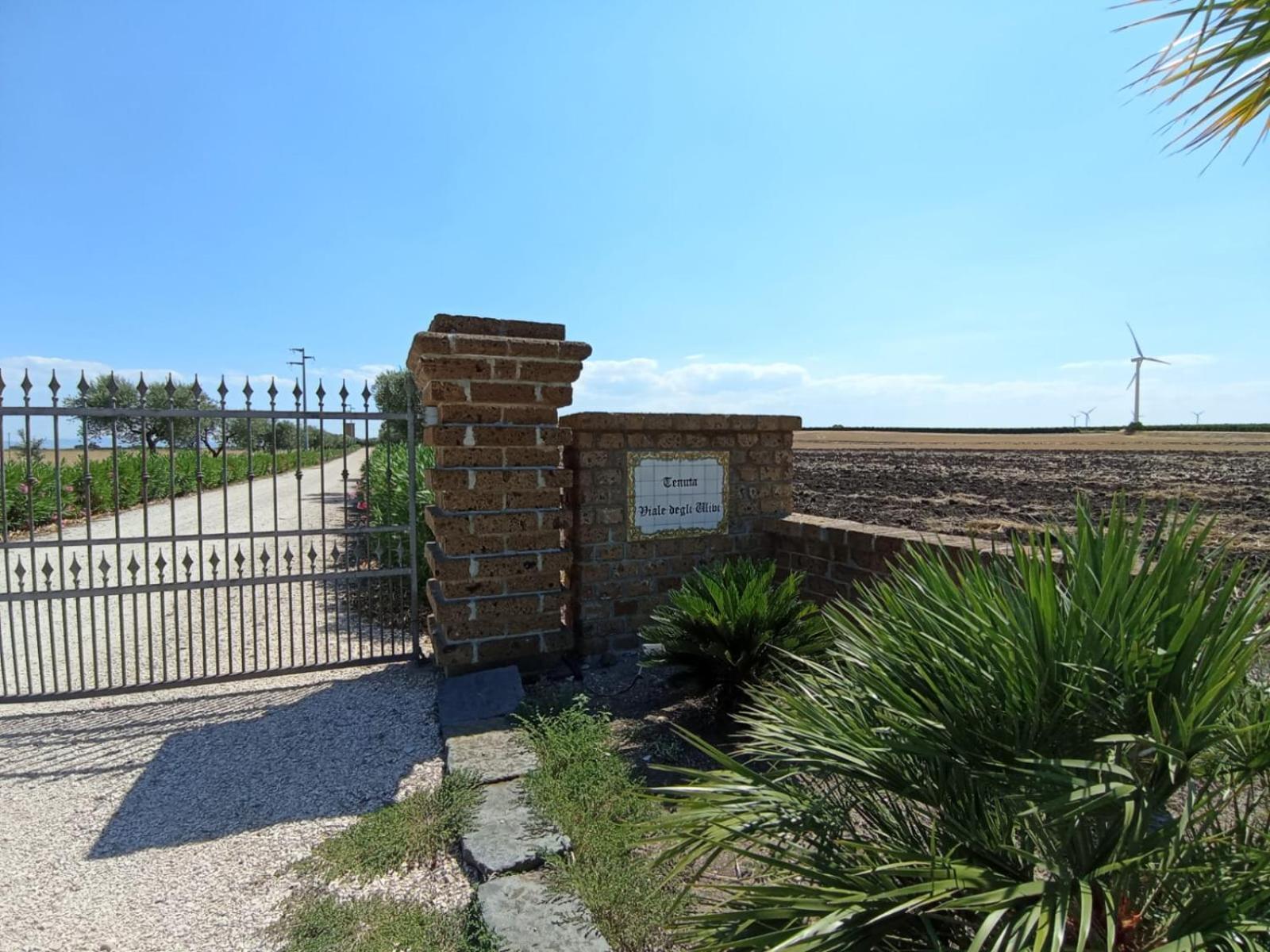 Tenuta Viale Degli Ulivi San Martino in Pensilis Kültér fotó