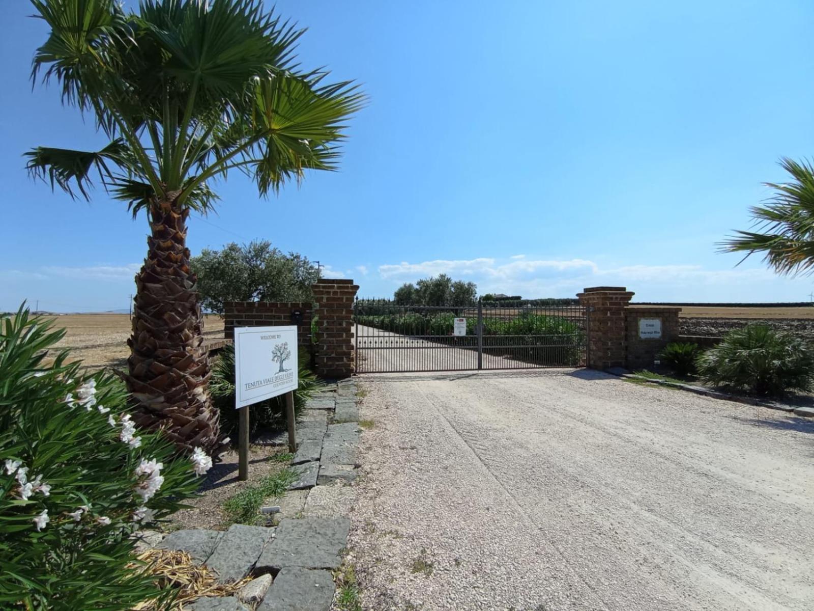 Tenuta Viale Degli Ulivi San Martino in Pensilis Kültér fotó