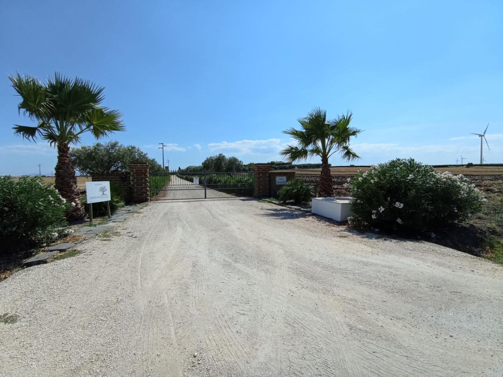Tenuta Viale Degli Ulivi San Martino in Pensilis Kültér fotó